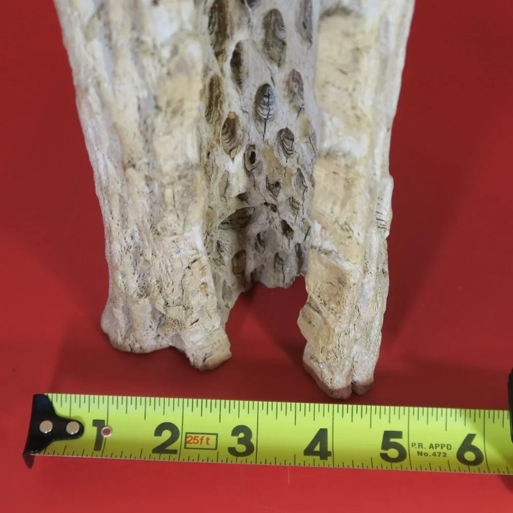 Cactus Wood Decoration for Aquarium Tank 1 pc